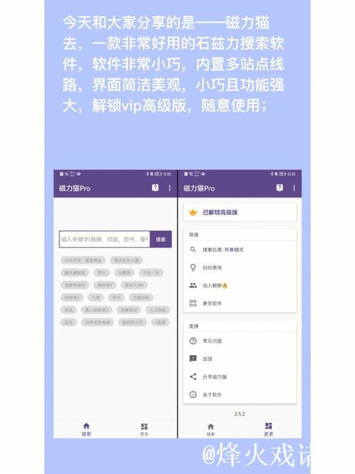 深入探索：磁力猫搜索入口使用指南